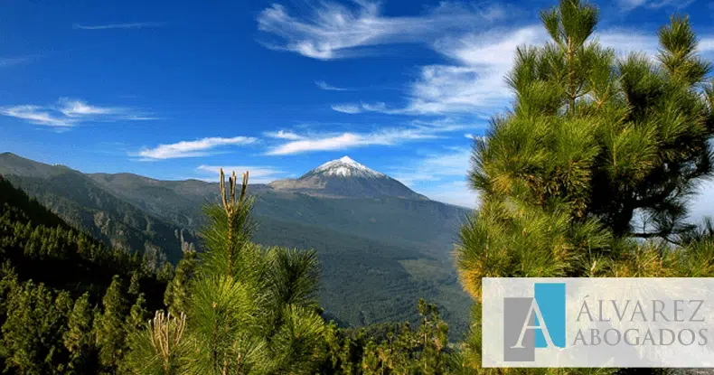 abogado tenerife