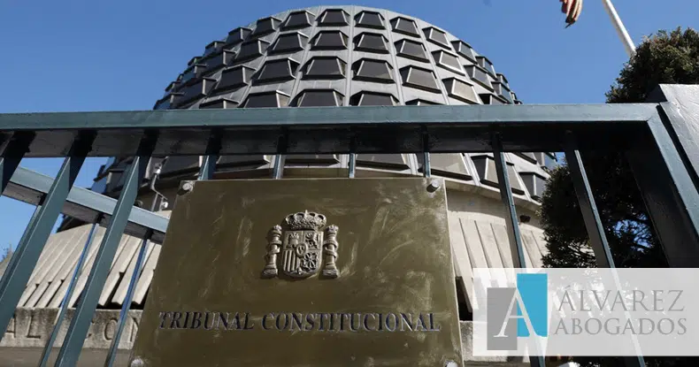 tribunal constitucional