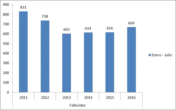 Fallecidos Tráfico