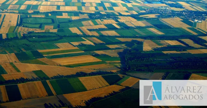 División segregación fincas abogados tenerife