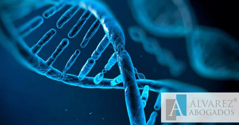 Reclamar Paternidad Tenerife