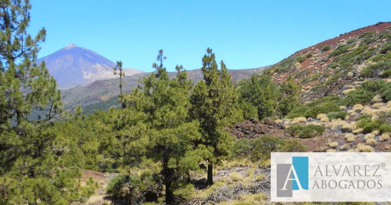 Delitos Medio Ambiente Tenerife