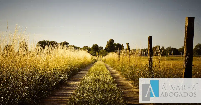 Acción negatoria servidumbre Tenerife