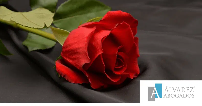 Legítima cónyuge viudo