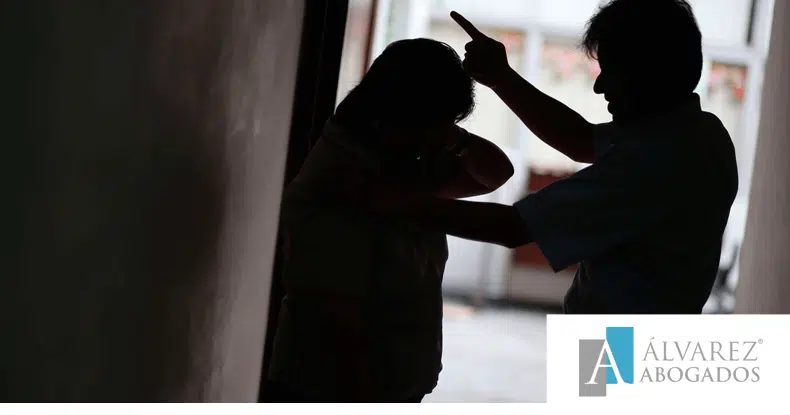 Delito leve de vejaciones