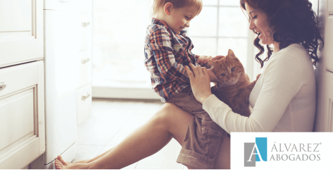 Desahucios Okupas Tenerife Desahucios Okupas Tenerife