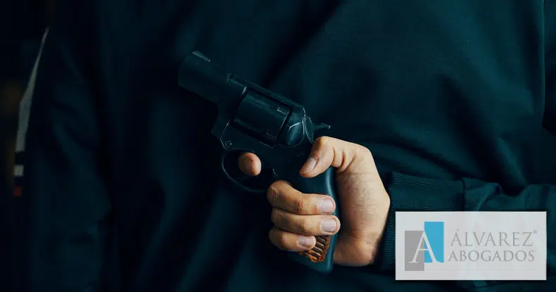 Delito tenencia ilícita de armas