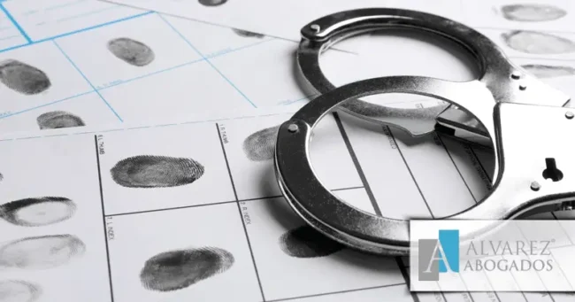 Abogado Penalista: concepto y funciones Abogado Penalista: concepto y funciones