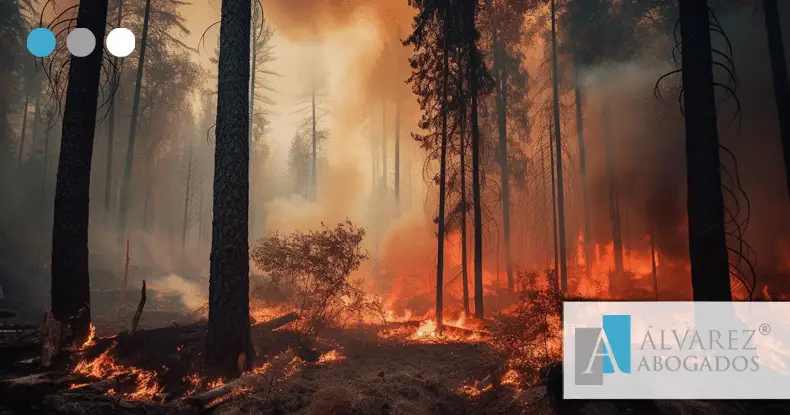 Estrategias, Prevención y Control de Incendios
