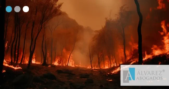 Delito de incendios Abogados Tenerife
