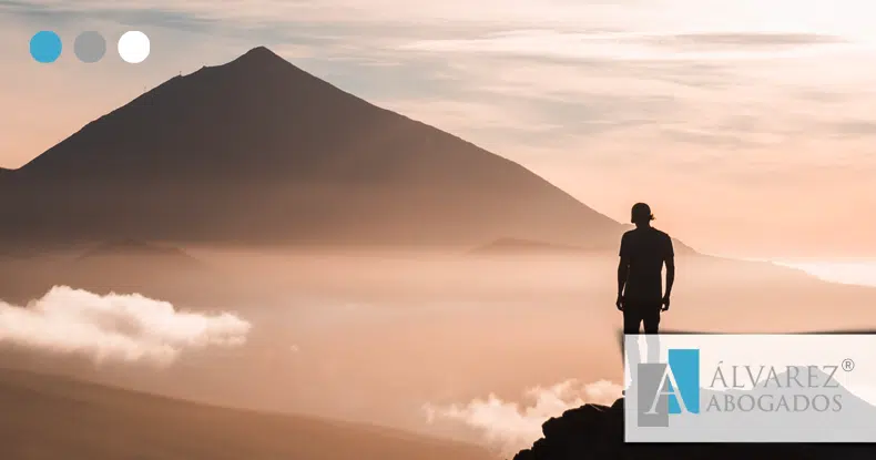 Delitos contra la ordenación del territorio y el urbanismo