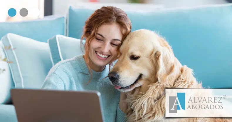 La custodia de las mascotas
