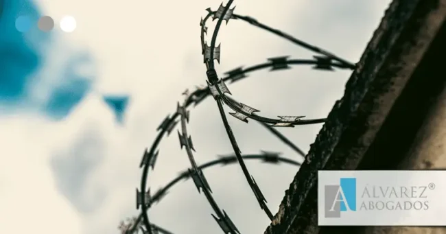 Libertad Condicional y Libertad Provisional