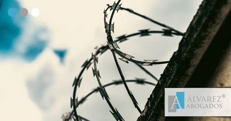 Libertad Condicional y Libertad Provisional